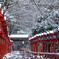 冬の貴船神社