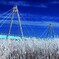 石狩河口橋(蔵出）