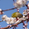 大阪城公園にて