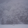 winter fog