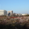 大阪城公園にて