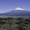 明星山から見えた富士山