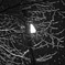 yuki110215_003