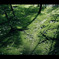 PS_kanazawa100503_234