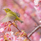 DSC04448_DxO