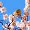 Spring has come around