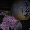 長谷寺千三百年の大提灯