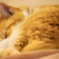 眠い…