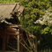 IMGP0339
