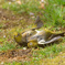 DSC02507_DxO