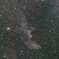AP赤道儀とMGEN-3で撮る 魔女の横顔星雲