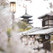 京都　八坂の塔