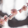 春