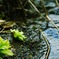 北海道の春