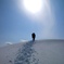 雪原を行く