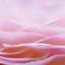 花びら