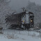 雪の中を
