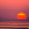 夕日