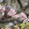 ご満悦