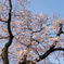 原木山妙行寺