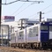 Shukura in Ibaraki 水戸線&常磐線にやって来た珍客