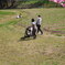 馬見丘陵公園の河津桜。２