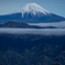 月映え