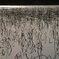 枯れ蓮のさだなみ