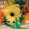 PRAY FOR JAPAN!