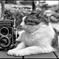 猫と寫眞機