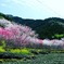8811327D-FF05-4B1C-84E5-66D1686945DD