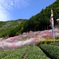 7D864415-2270-44D4-8A4E-97DBACDF4229