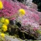 6B879D75-29A2-493F-B652-97096F63D3DA