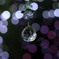 1C21A764-1B45-4D14-9F80-D90DE4ACD454