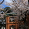 お天気も良かったので