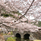 稗ノ尾河川公園