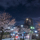 夜桜