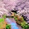 吉方橋にて