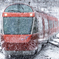 雪とGSE