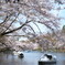 井の頭公園
