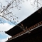 京都