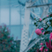 Flowers under the cloudy sky