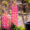 spring tower