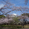 平塚総合公園