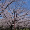 平塚総合公園