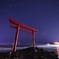 伊豆の海岸