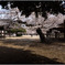 東別院