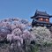 また１つ年を取りました