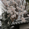 吽形像と桜