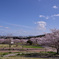桜を超えて